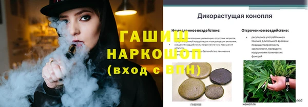mdpv Рославль