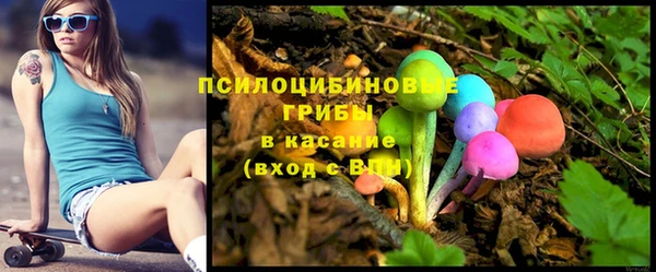mdpv Рославль